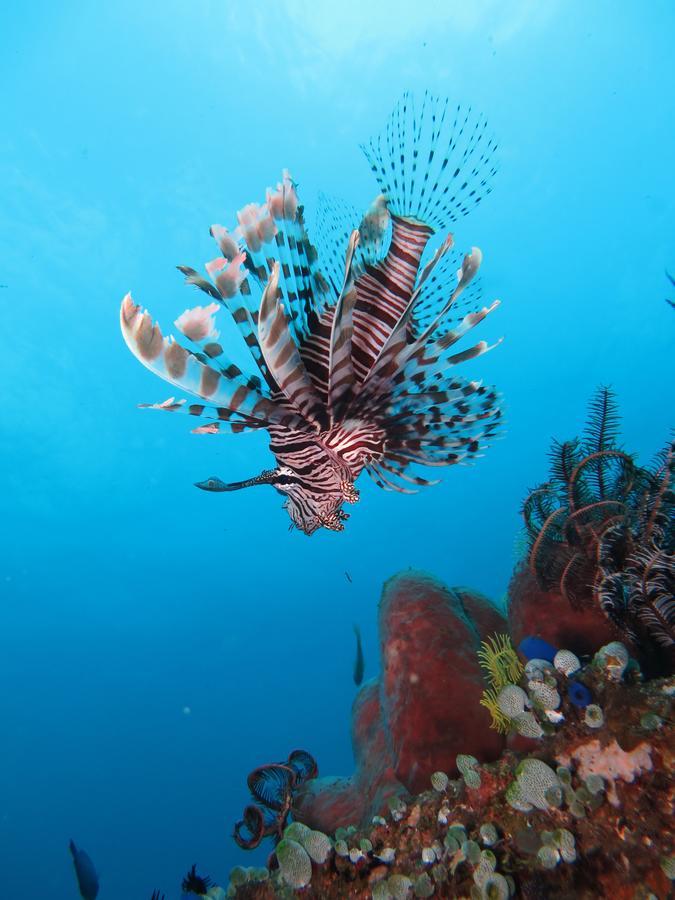 Jukung Dive Resort Bali Amed Exterior photo